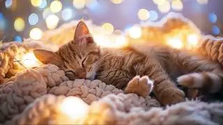3 Hours of Cat Sleep Music 🌾 Quiet Horizon Piano for Soft Sleep | Mellow Cat Dreams