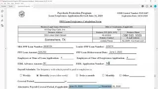 Paycheck Protection Program Forgiveness: IRS Form 3508