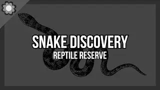 reptile reserve