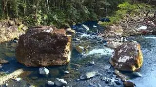 Lush Mountain Stream | 10 Hours of Gentle White Noise for Meditation & Relaxation