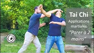 Tai Chi Applications martiales 