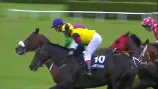 2017.09.24 Gran Premio Merano (ITA) - Al Bustan