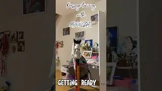 Drez&uacute;ra n&aacute;m teda e&scaron;te veľmi nejde 😅🤣 || Hobbyhorse Hurricans