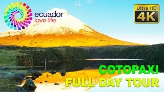 The Best of Ecuador - Cotopaxi Full Day Hiking & Biking Tour