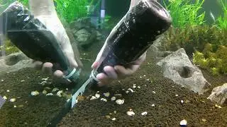 How to Add Sand/Soil to an Established Aquarium