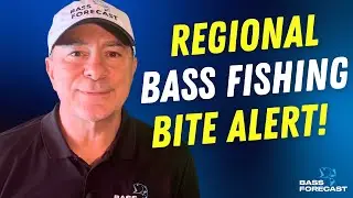 Bass Fishing Forecast: September 4th - 7th, 2025