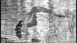 Jean Ritchie - The Blackest Crow