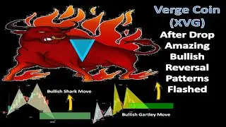 Verge Coin (XVG) After The Drop Amazing Bullish Reversal Patterns Flashed