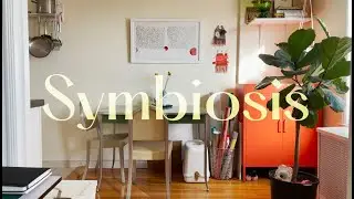 Dara Benno_Thesis Topic Intro_Symbiosis
