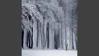Big Freeze