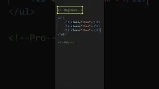 Beginner vs Pro coder || 2024 || Pro Programming skill || Shokher Ayna