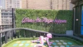 Magic rooftop bar/lounge in Manhattan