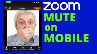 Mute Zoom Audio in Mobile app