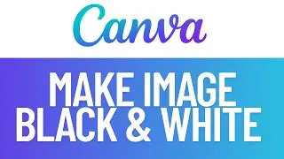 How to Make Image Black and White in Canva | Canva Tutorial For Beginners
