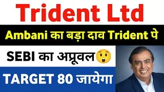Trident Share Latest News | Trident Share Latest News Today | Trident Limited Share