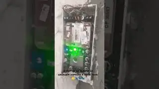 Formigueiro no sensor do alarme da garagem