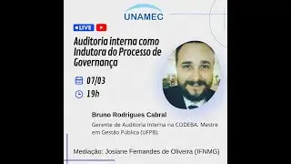 Auditoria interna como Indutora do Processo de Governan&ccedil;a