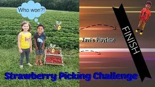 Strawberry Picking Challenge