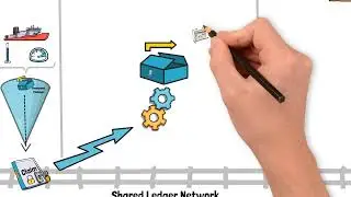 Interwork Alliance digital MRV Framework Explainer