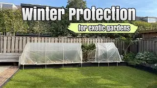 Winter Care for Exotic Gardens | Protect Plants from Frost & Freezing Temps