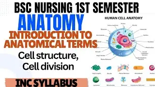 Cell structure and Cell Division | BSc Nursing 1st Semester | INC Syllabus (ABVMU) |with notes||