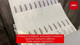 Oki C650 Printing Wristbands