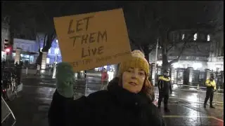 Crowd gathered for Dublin protest in support of Palestine Action hunger strikers