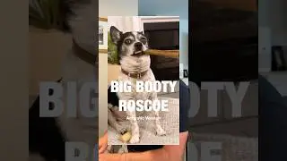 Big Booty Roscoe - Acoustic Version (Puppy Songs)