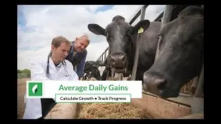 Average Daily Gains for Livestock
