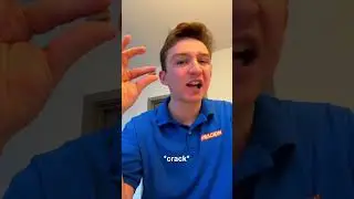 How To Eat A Sunflower Seed