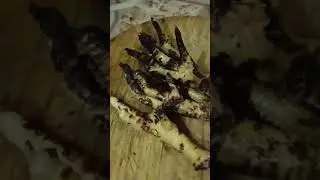 #bangla #cooking #randa #video 🐓