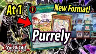 Delicious At 1? WE DONT CARE..! | Purrely (TCG May 2023)