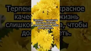 Мудрость веков #правильныеслова #правильныемысли #мудрость #мудростьпоколений
