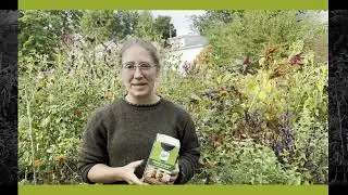 2022 Fermentation Workshop Promo