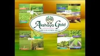 Akshaya Gold MD
