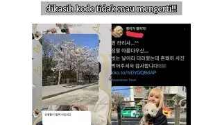 HUNLISA - ' HUJAN SAKURA MEMBAWA KEBAHAGIAAN | cinta berkerja dengan baik  #sehun #lisa #kpop