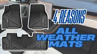 4 Reasons You MUST Have All Weather Mats On Your Car- OQ Detailing