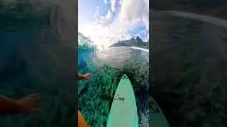 YOU HAVE TO SEE THIS! #surf #surfing #shorts #shortsfeed #waves #ocean #gopro #pov #new #indonesia
