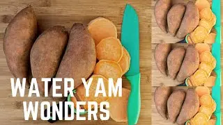 WATER YAM WONDERS
