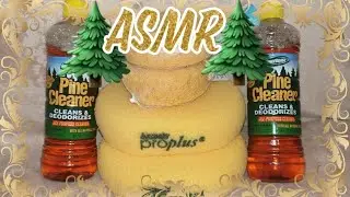 ASMR 🌲🌲 2 WHOLE Bottles of Powerhouse Pine 🌲🌲 on New DG Round Bath Sponges + 2 Oval Armaly + 💦