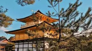 📍Kinkaku-ji Temple in Kyoto, Japan | Must Visit in Kyoto
