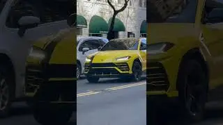 2023 Lamborghini Urus, yellow with the pinstripes ￼😍🥰