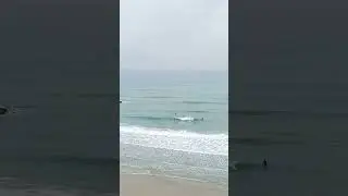 morning  #shorts #sea #beach #waves #shortsvideo #beachwave