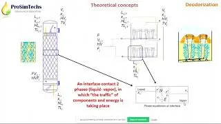Succeeding in Process Optimization Tasks : Soybean oil deodorization