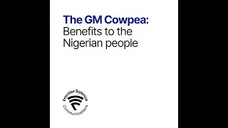 The GM Cowpea: Benefits to the Nigerian People