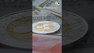 🚨 Daily Crypto & Finance News Update 🚨