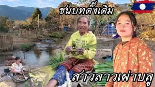 วิถีชีวิตยามแลงที่หมู่บ้านน้ำโทนฤดูกาลขายดอกแขมคือรายได้ตามฤดูกาลจากธรรมชาติ