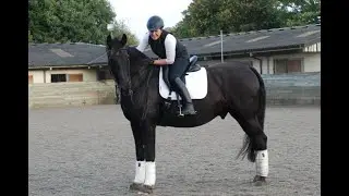 Bad Things Magnesium can do to Your Horse
