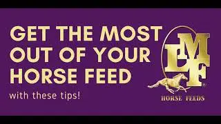 Get the most out of your horse feed