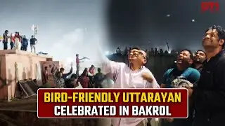 Bakrol village in Gujarat makes Uttarayan a nighttime kite festival for safety of birds